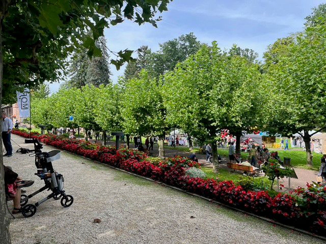 Best & Partner Immobilien | Bad Orb: Dahaam-Markt & Kunst- und Kreativfest am Quellenring 