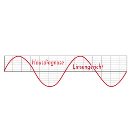 Hausdiagnose Linsengericht